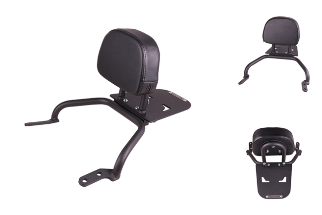 T-Rex racing rear rack/backrest or ebay special? | CTX 700 Forum