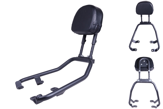 T-Rex Racing 2022 - 2023 Yamaha XSR900 Passenger Back Rest & Grab Bar ...